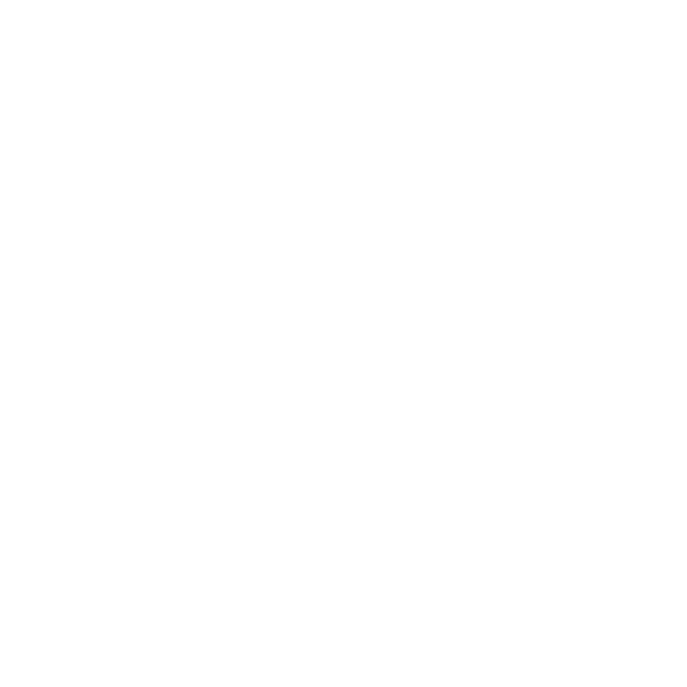 instagram primelub logo